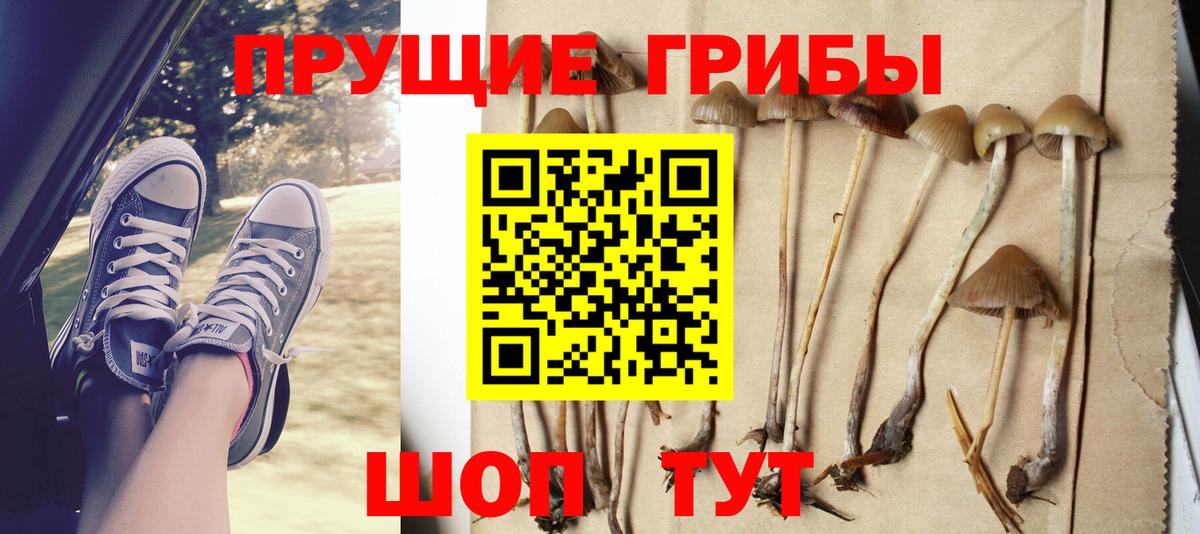 Тамбов  Галлюциногенные грибы мицелий  Вход с VPN 