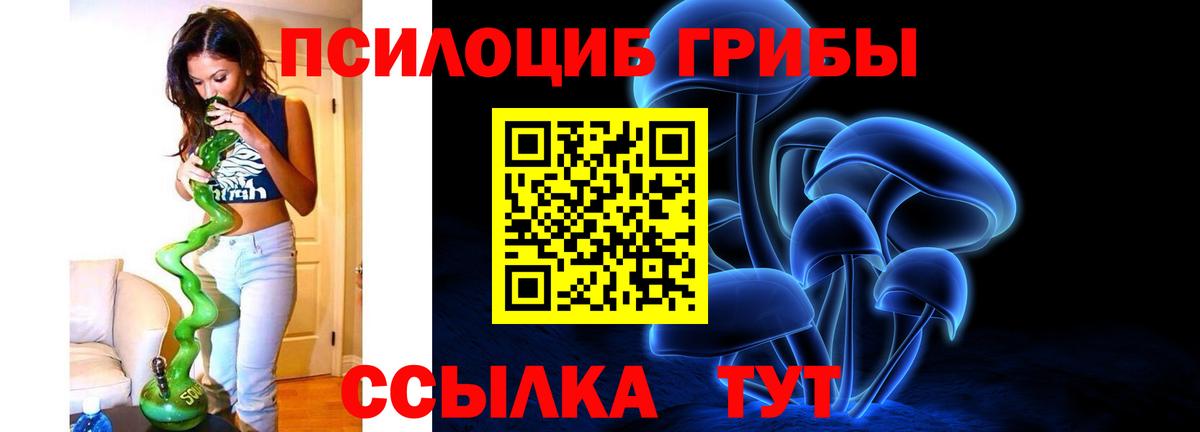 Галлюциногенные грибы мухоморы Тамбов